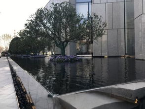 景觀干貨來襲丨水景實用工藝