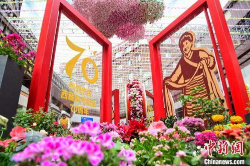 西藏首屆花卉藝術(shù)旅游文化開幕 數(shù)萬(wàn)鮮花綻放雪域高原