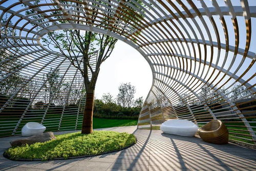 奔赴在熱愛之中 賽肯思2020精品項目合集