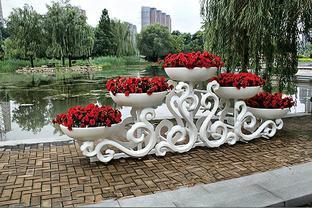 社會主義新農村建設背景下鄉村景觀植物的應用與配置模式探究